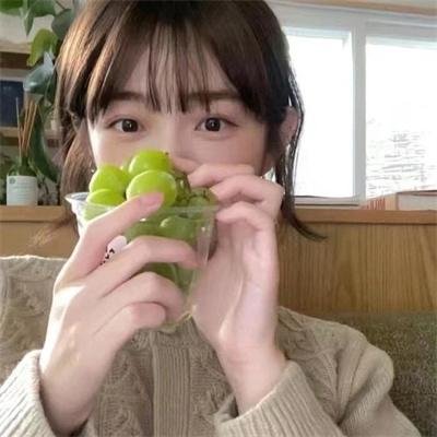 与歌同行